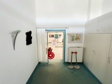 Eingangsbereich Zentrale Praxisr�ume in �rztevilla in Magdeburg-Stadtfeld: Ideal f�r Ihren beruflichen Erfolg!