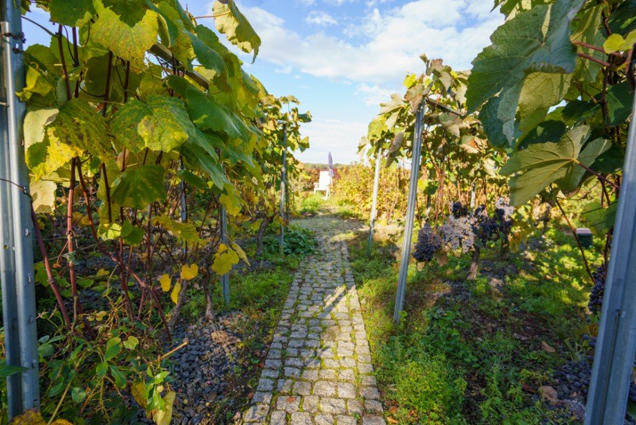 Weingarten Einfamilienhaus Grabow