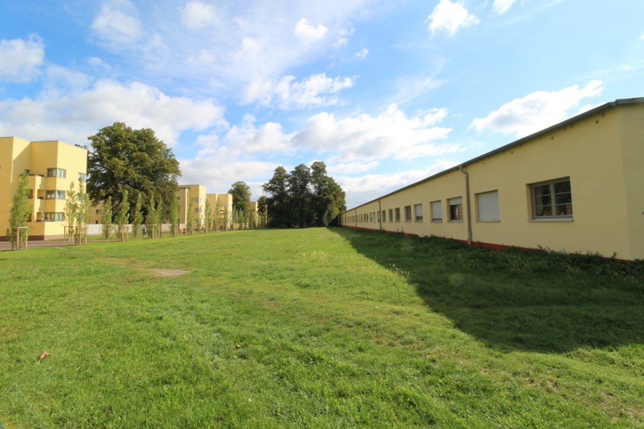 IMG_8428 Terrassenwohnung Magdeburg