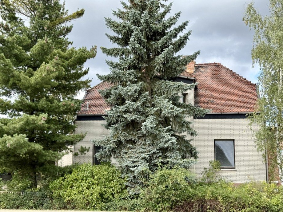  Einfamilienhaus Biederitz