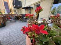 Hauptbild Suchen Nachmieter zum Juli! Kleines Apartment mit großer Terrasse! Bad mit Du! Separater Eingang!