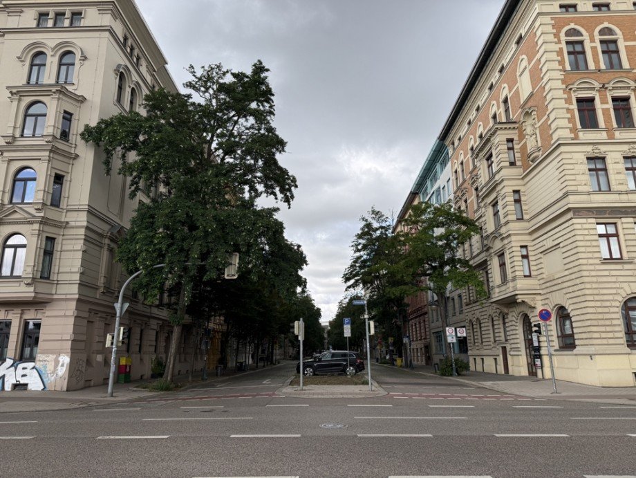 Liebigstrasse Erdgeschosswohnung Magdeburg / Altstadt
